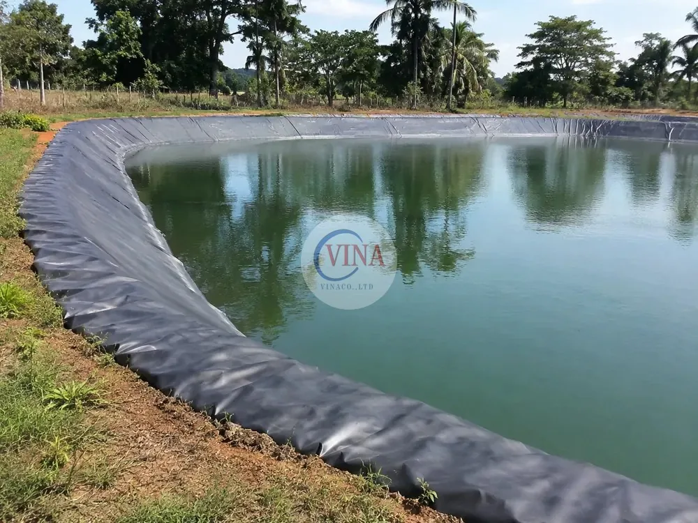 Ao nuôi tôm cá nhỏ lót bạt HDPE màu đen