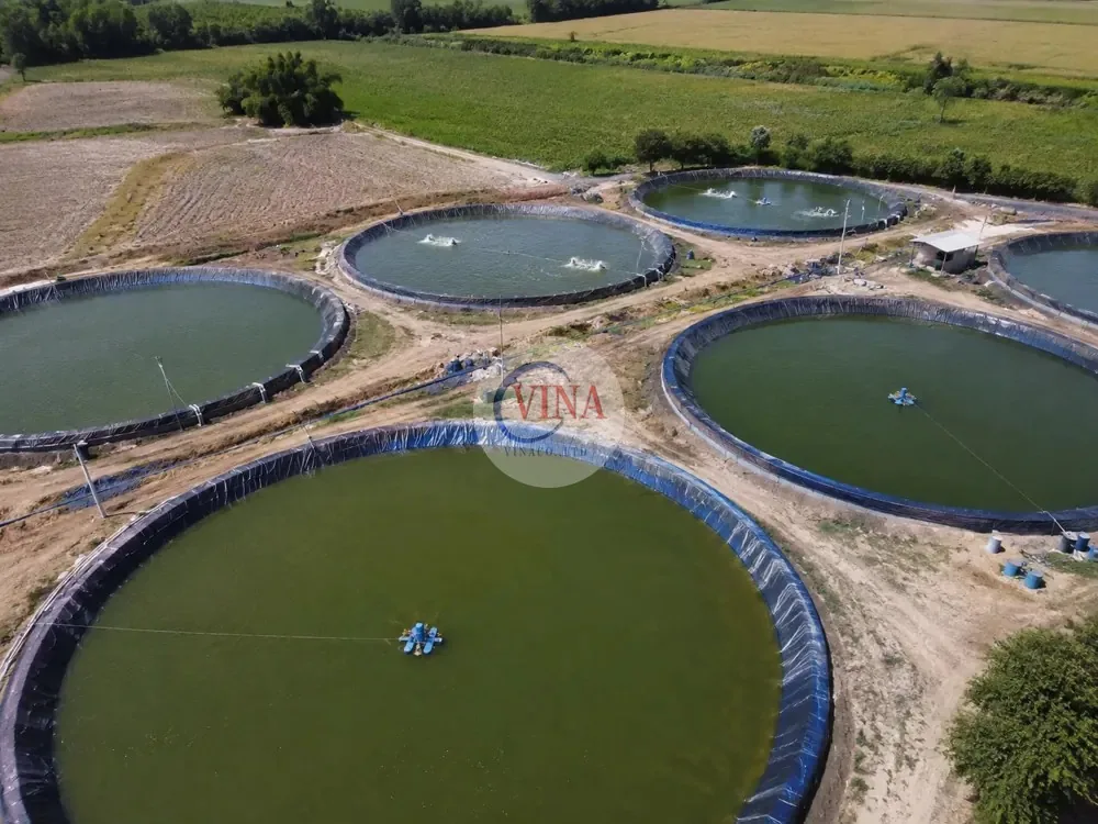 Cụm ao nuôi tôm công nghiệp lót bạt HDPE nhìn từ trên cao