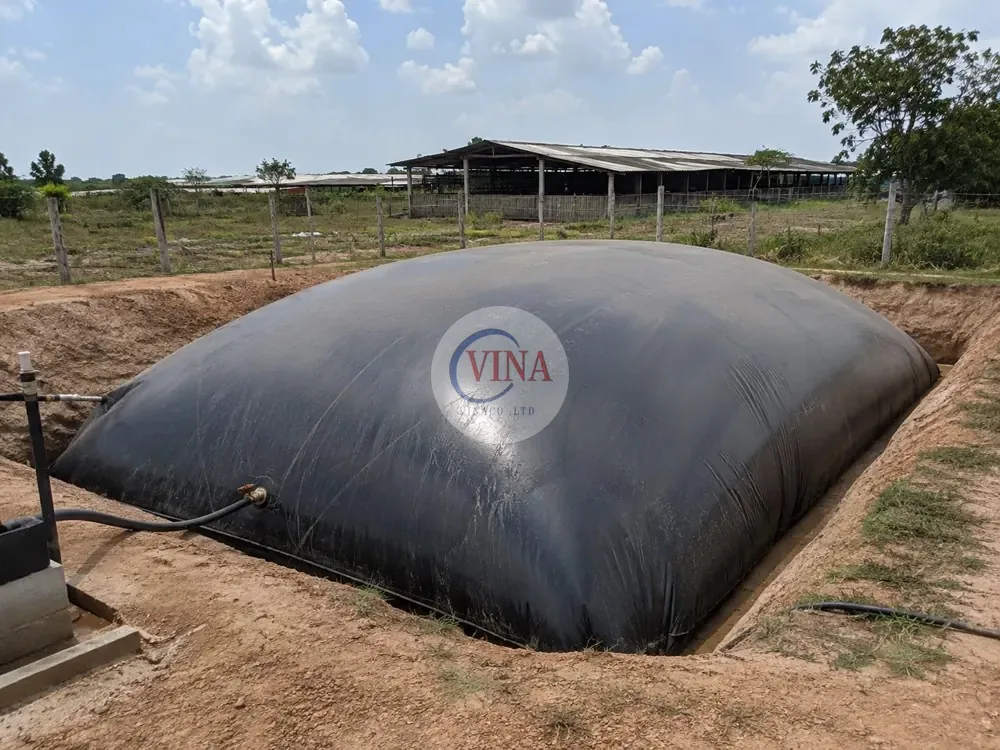 Hồ biogas dạng túi khí phồng lót bạt HDPE trong trang trại