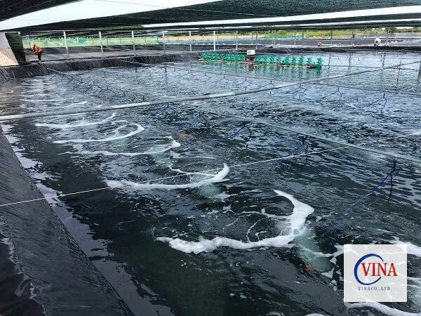 Hồ chứa nước lót bạt HDPE đang sục khí, tận dụng kết hợp nuôi trồng thủy sản
