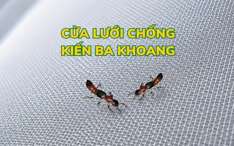 Cửa Lưới Chống Kiến Ba Khoang: Giải Pháp Ngăn Côn Trùng Nguy Hiểm Mùa Mưa